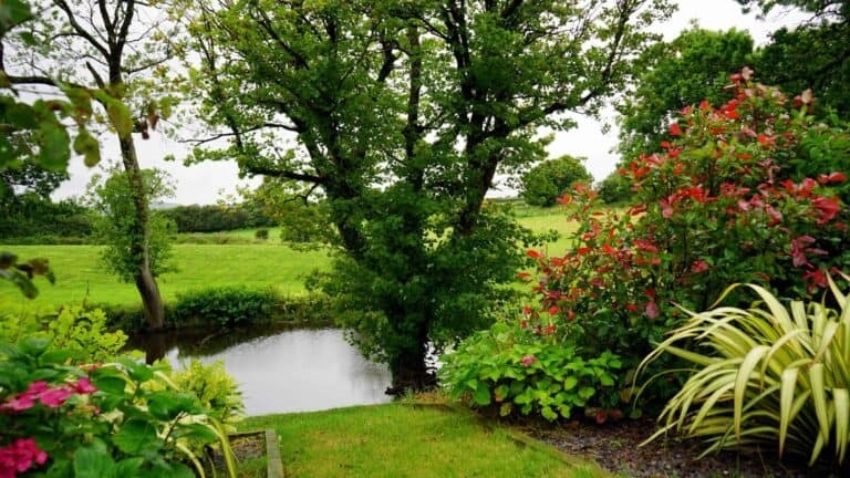 13 Consejos para construir un estanque de jardín